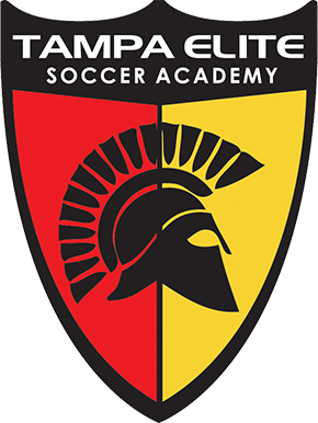 tampa-elite-soccer-academy-logo